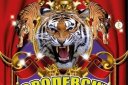 Королевские тигры Суматры