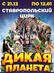 Новогоднее шоу «Дикая планета»