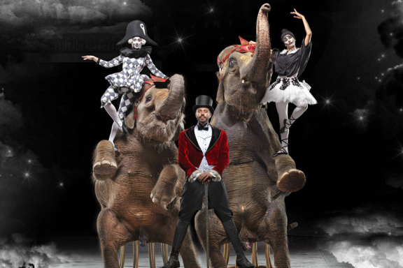 Девочка и слон