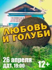 «Любовь и голуби»