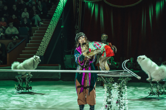 &ZHcy;&acy;&rcy;-&pcy;&tcy;&icy;&tscy;&acy;