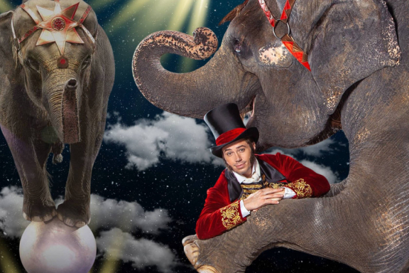 Девочка и слон