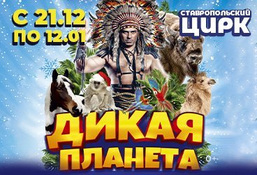 Новогоднее шоу «Дикая планета»